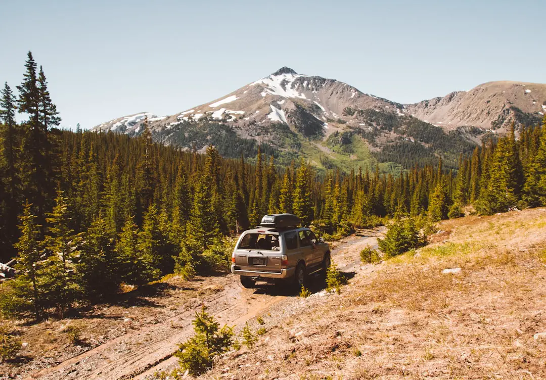 gray SUV running along brown sand path through forest